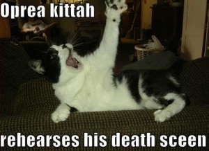 opera kitty